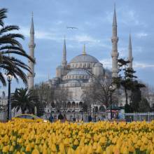Фото Голубая мечеть