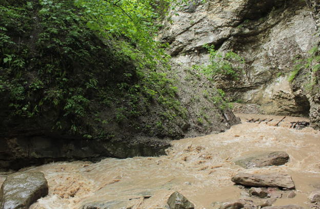 Аргунское ущелье