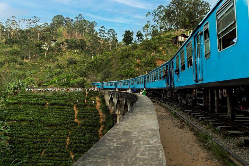 Отдых и транспорт на Шри-Ланке