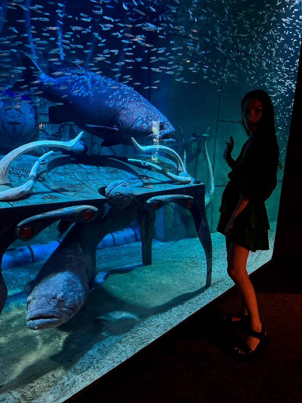 Atlantis The Palm