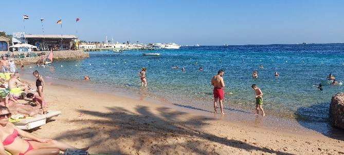 SEAGULL BEACH RESORT