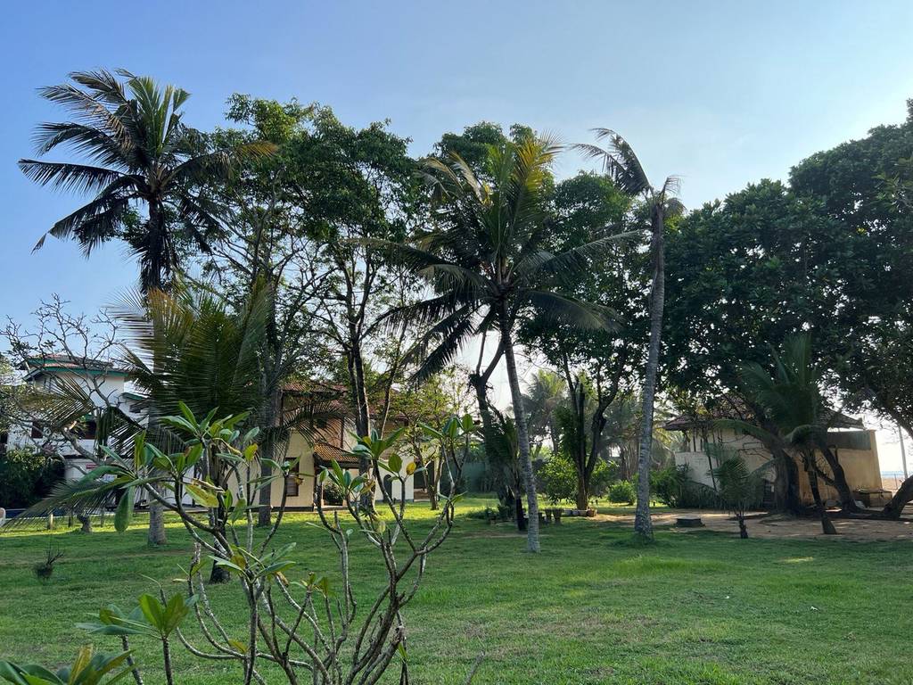 HIBISCUS BEACH HOTEL