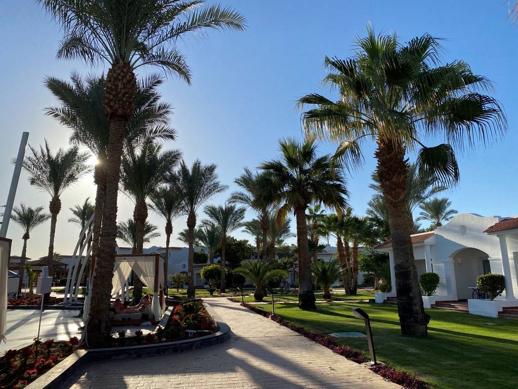 SHARM DREAMS