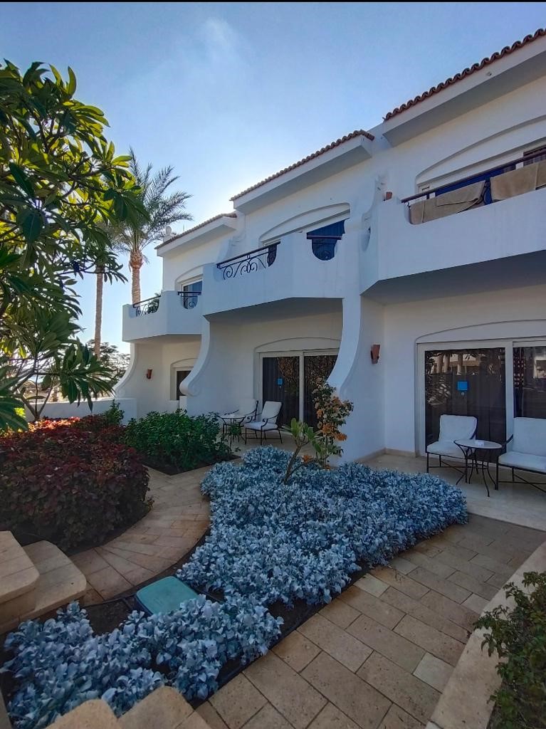 Iberotel Palace Adults Only 5*