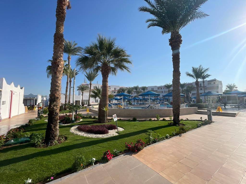 Beach Albatros Sharm