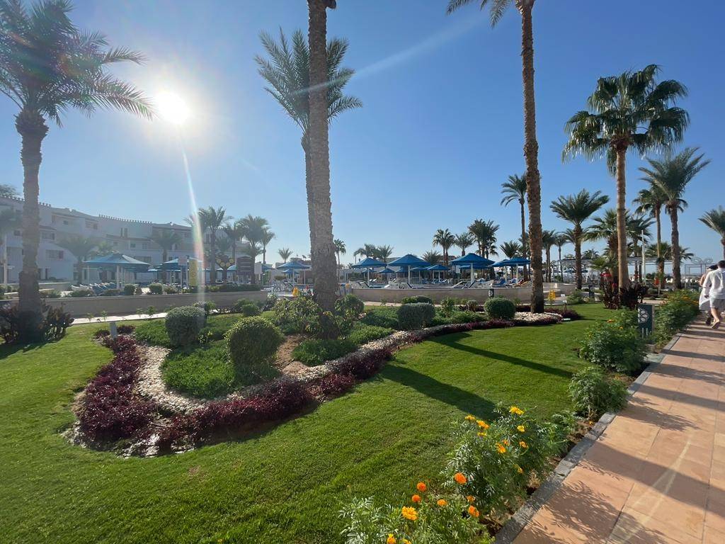 Beach Albatros Sharm