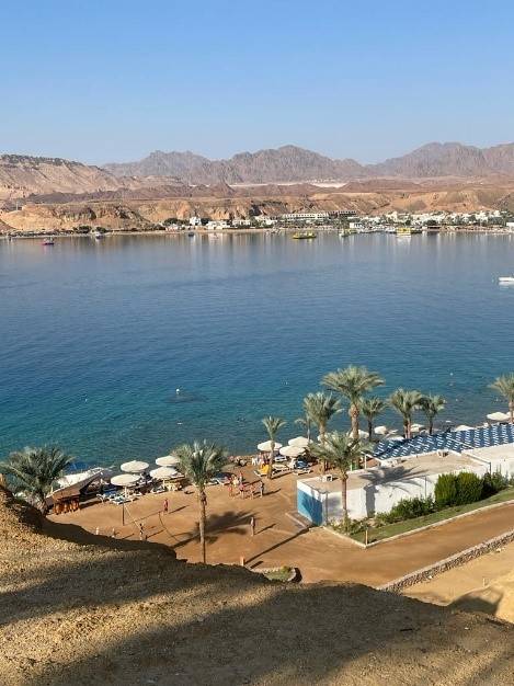 Beach Albatros Sharm