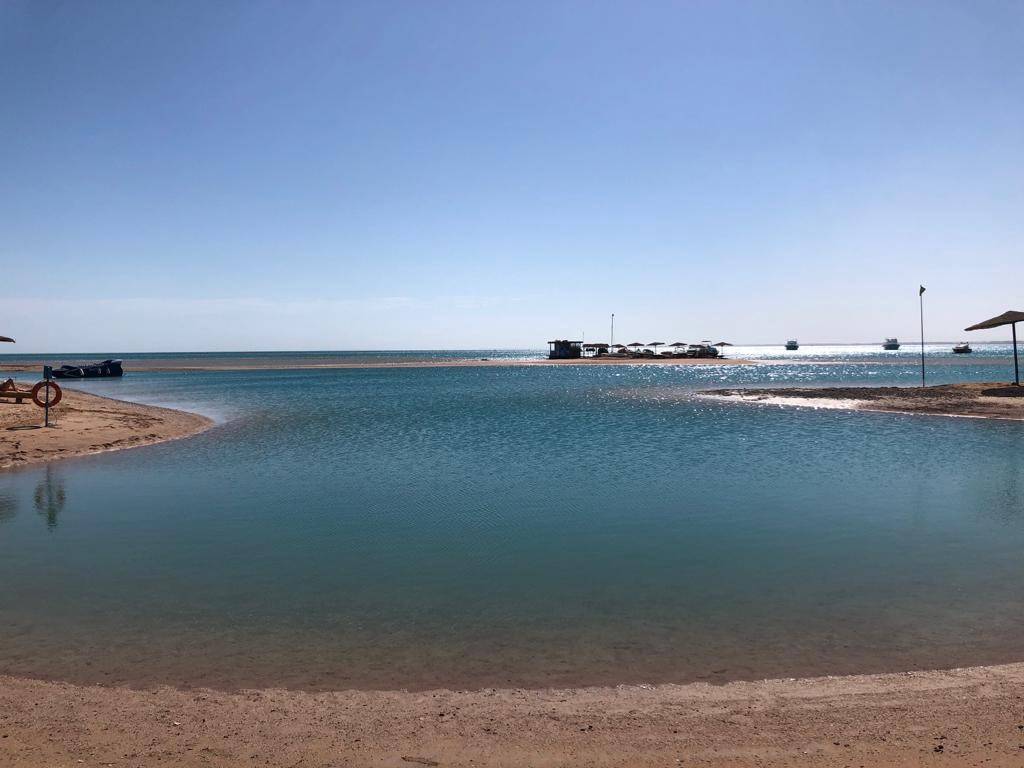 Club Paradisio