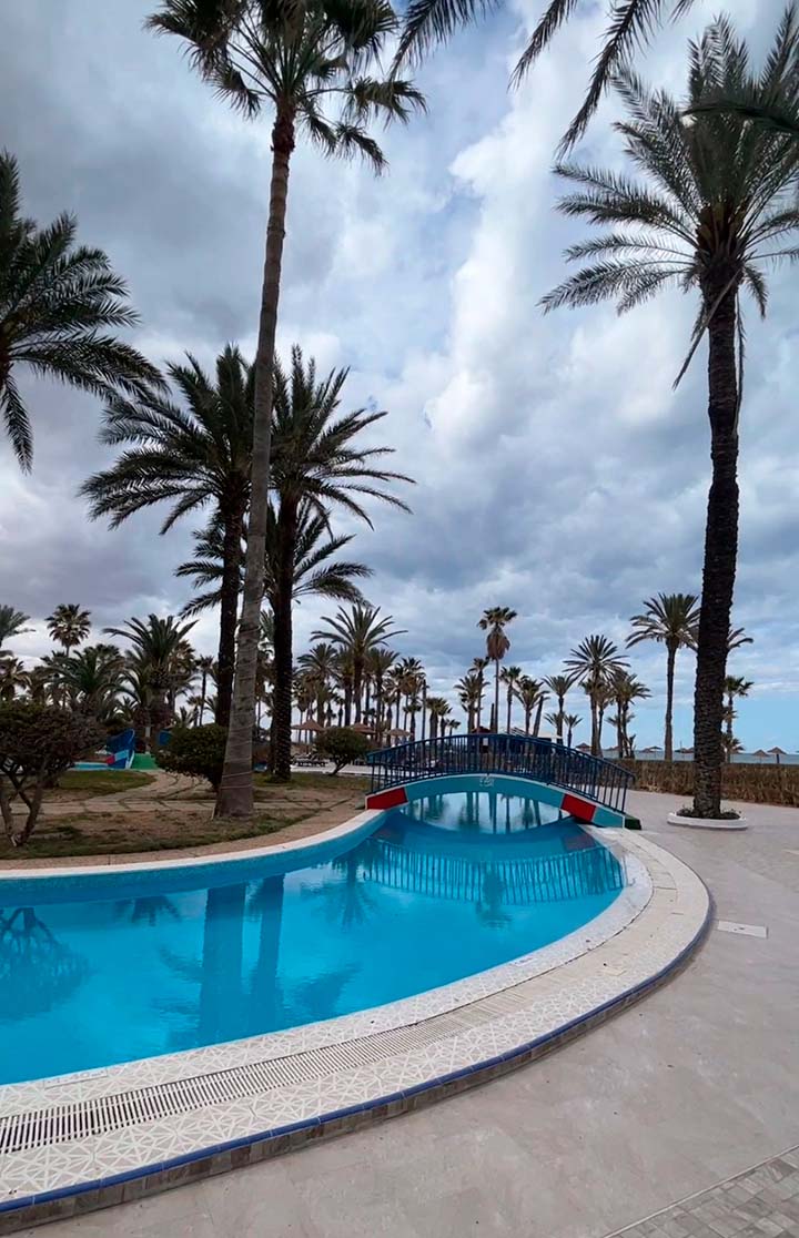 Riadh Palms