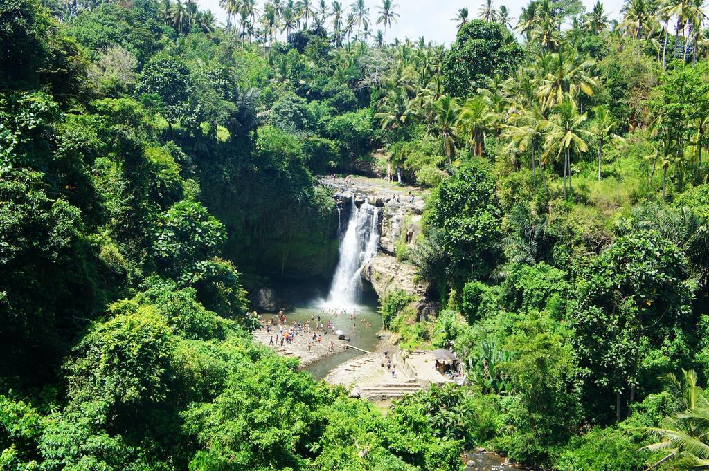 Водопад Тегенунган, Бали