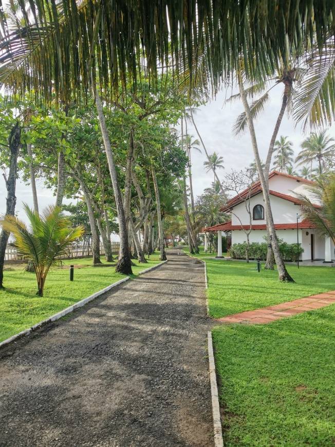 Dickwella Resort and Spa 5*
