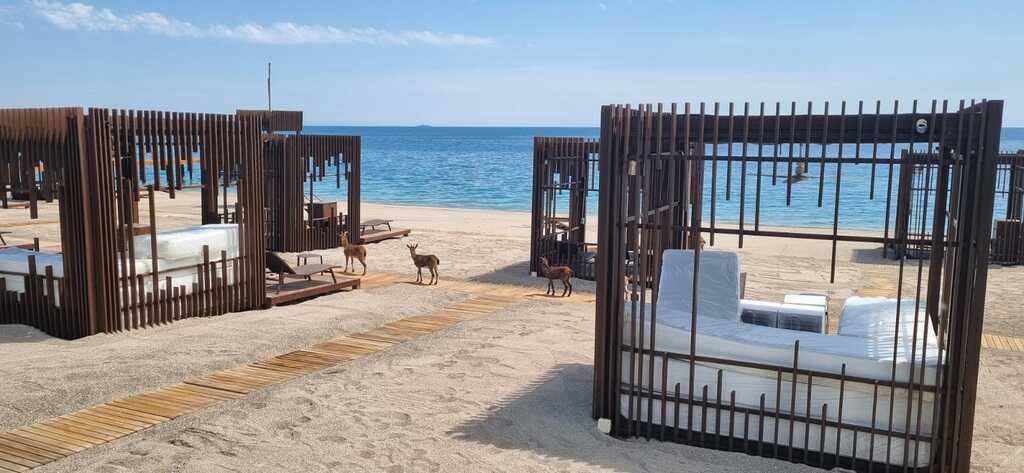 Maxx Royal Kemer