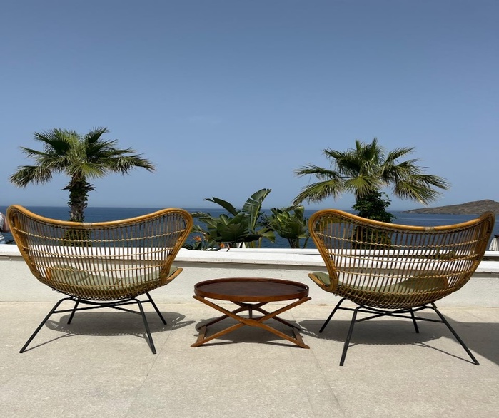 ALLIUM BODRUM 5