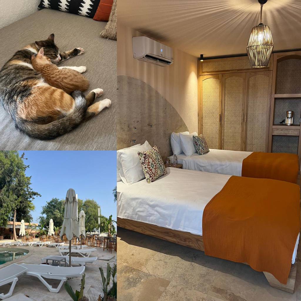 INONE MUCHO SELECTION HOTEL