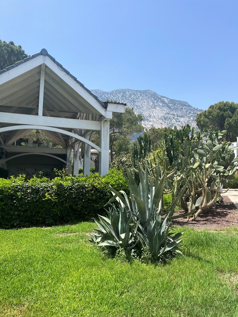 Nirvana Mediterranean Excellence