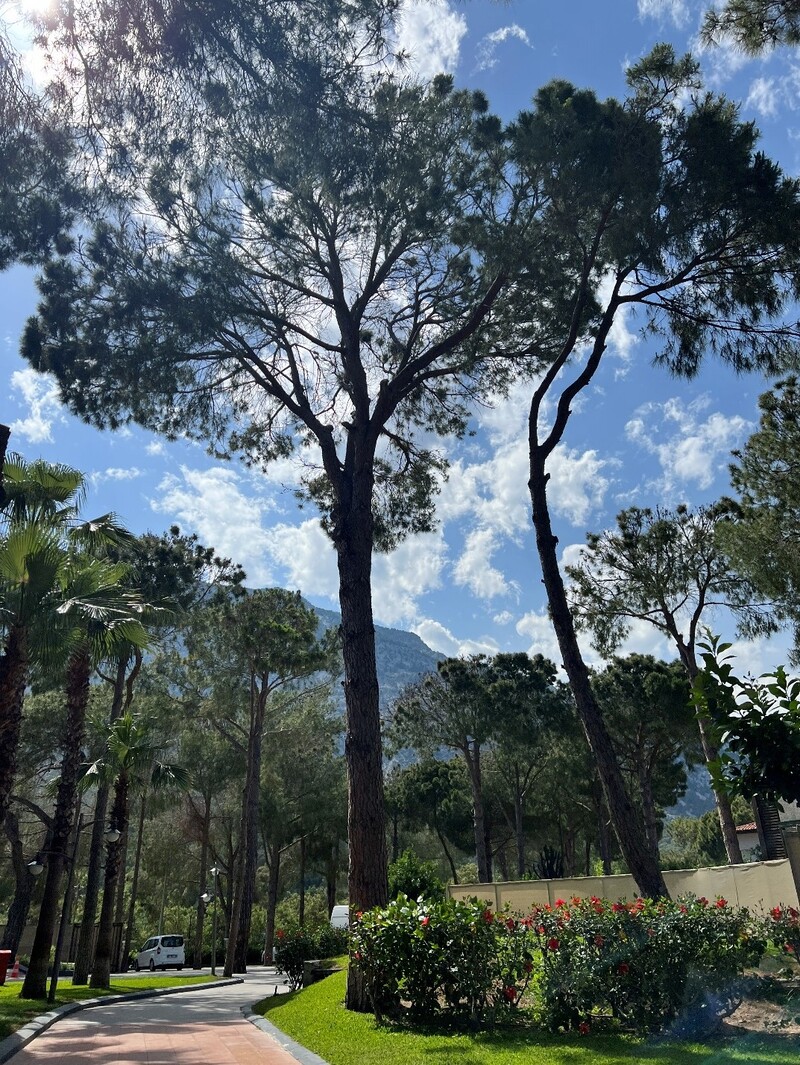 Crystal Flora Beach Resort