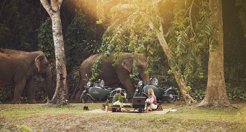 Anantara Golden Triangle Elephant Camp & Resort 