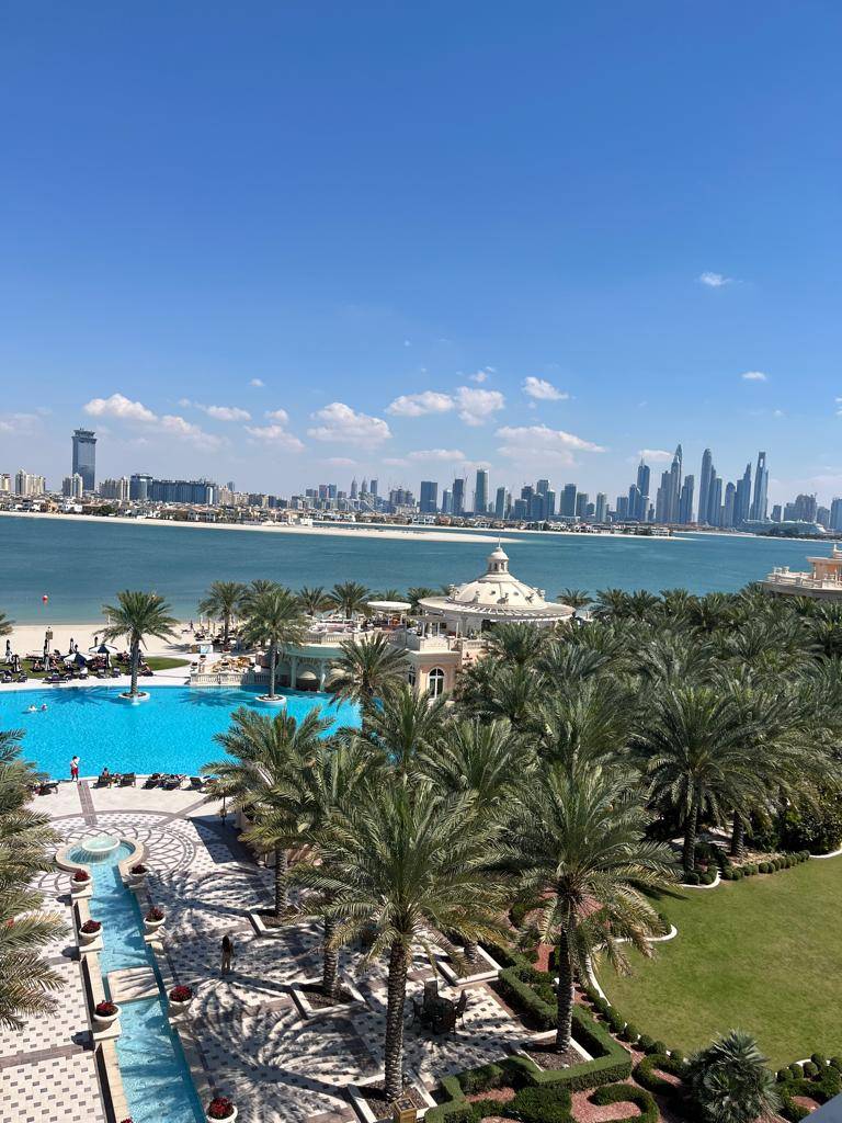 Raffles The Palm 5*