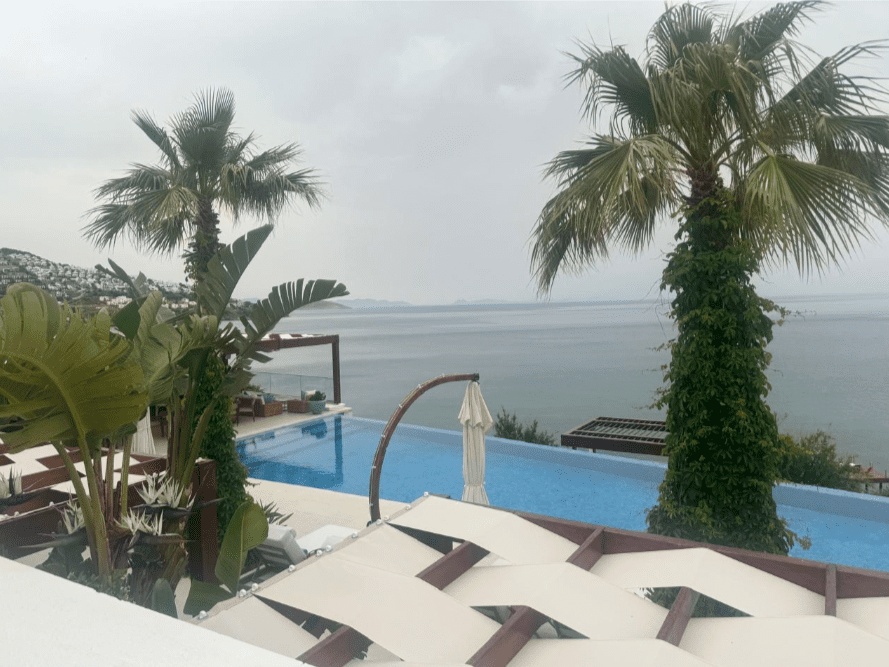 ALLIUM 5*