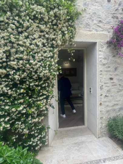 ALLIUM 5*