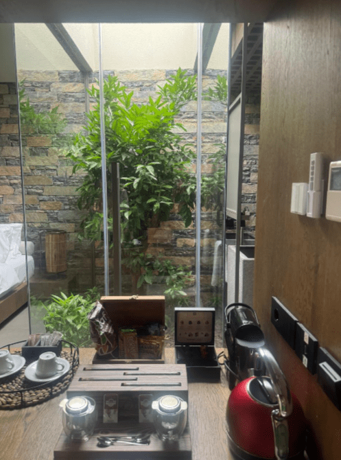 Voyage Torba 5*
