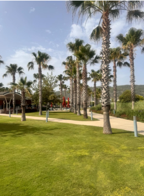 Hilton Dalaman Sarigerme Resort & Spa 5*
