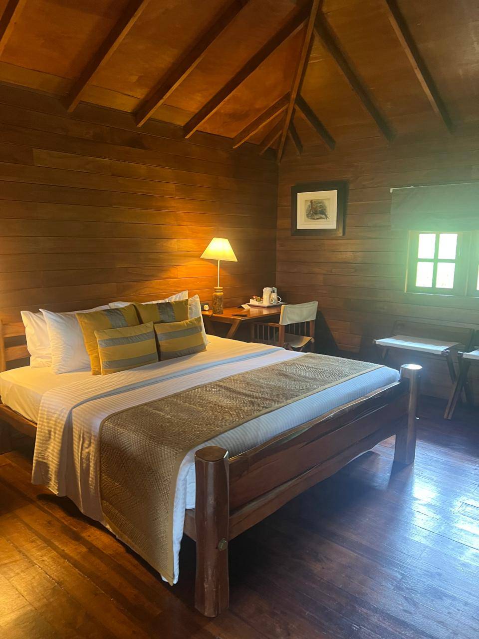 Cinnamon Wild Yala 5*