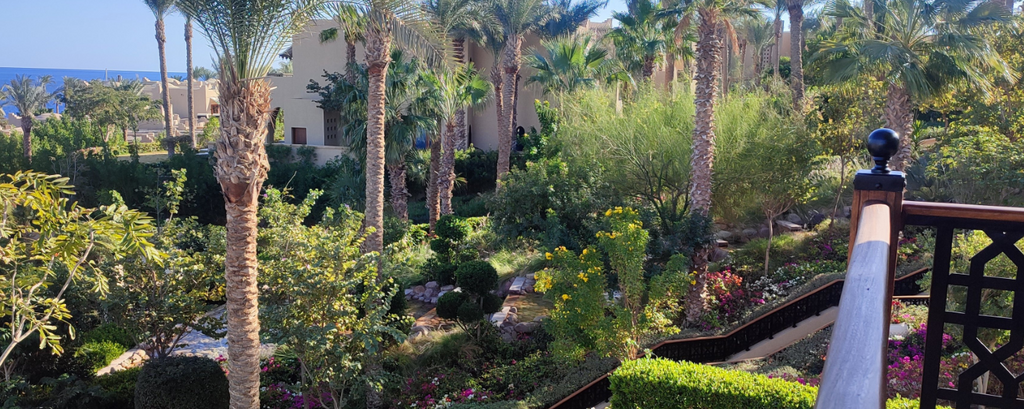 FOUR SEASONS RESORT