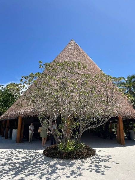 Cinnamon Velifushi 5*