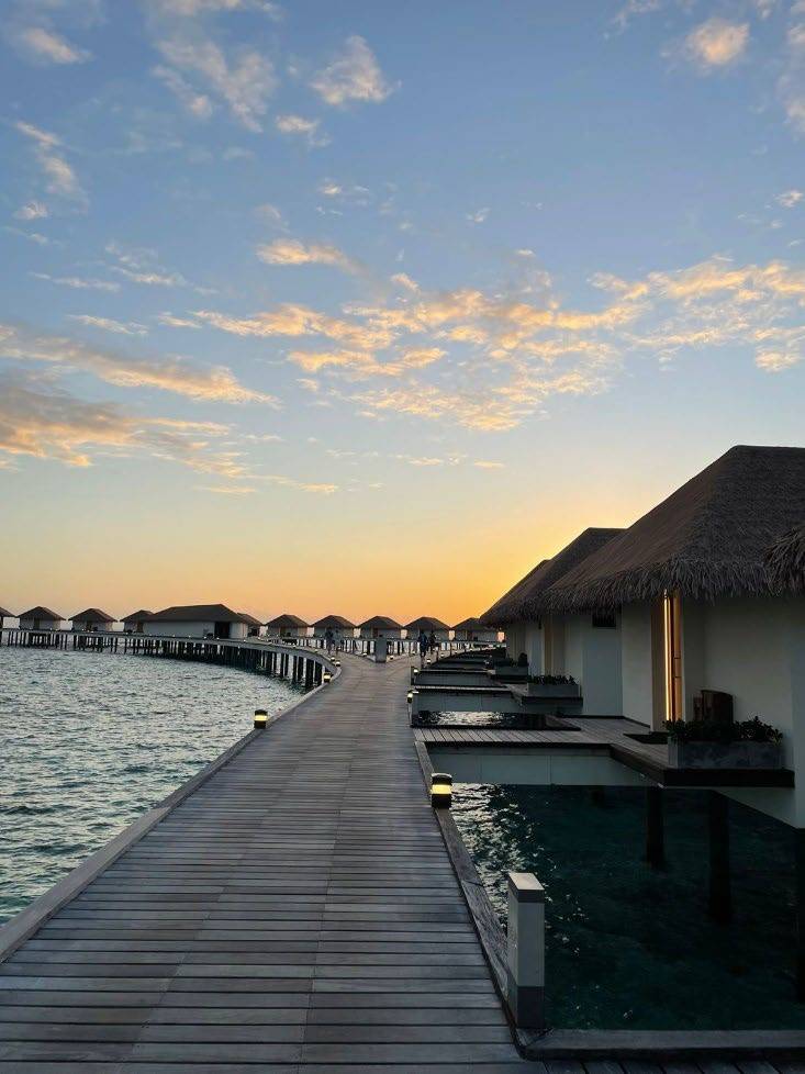 Cinnamon Velifushi 5*