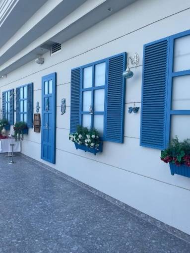 MAXERIA BLUE DIDYMA 