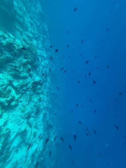 Centara Ras Fushi Resort&spa 
