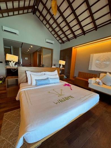Cinnamon Velifushi 