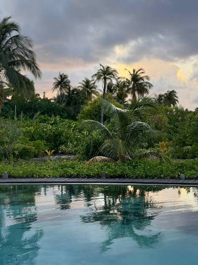 Cinnamon Velifushi 