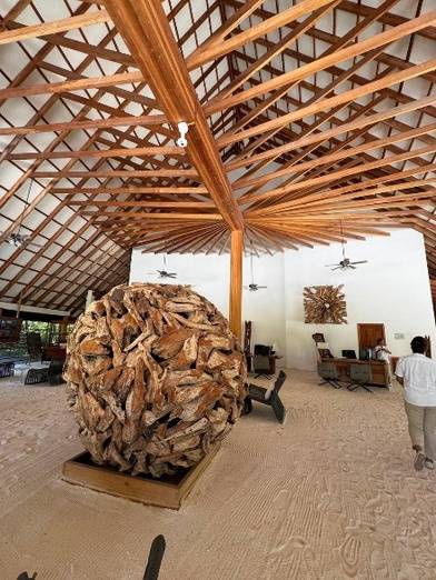 Cinnamon Velifushi 