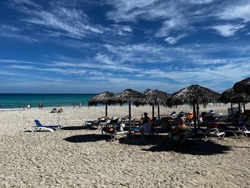 Sol Palmeras