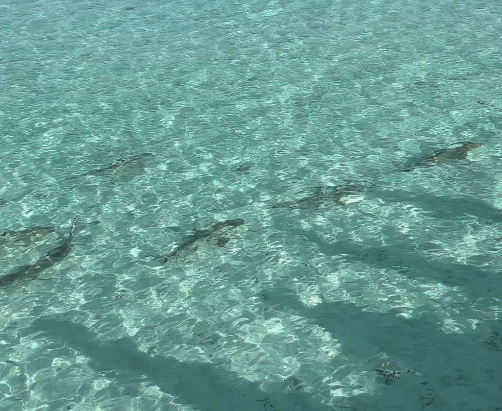 Velassaru Maldives 5*