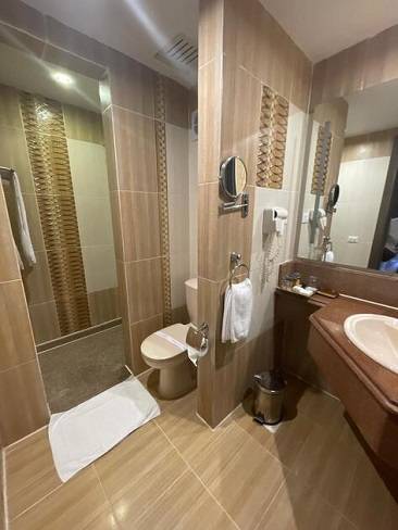 Albatros Palace 5*
