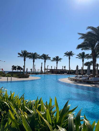 Baron Sahl Hasheesh 