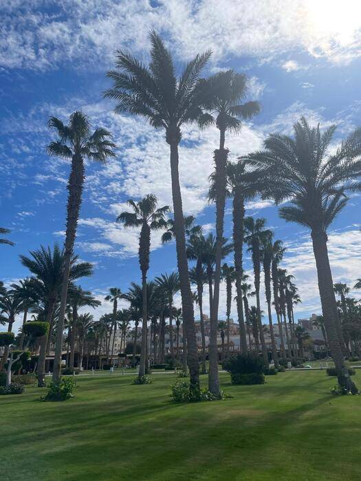 Meraki Hughada