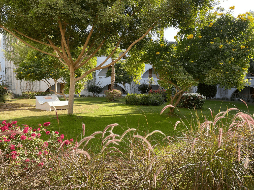 Desert Rose Resort 5*