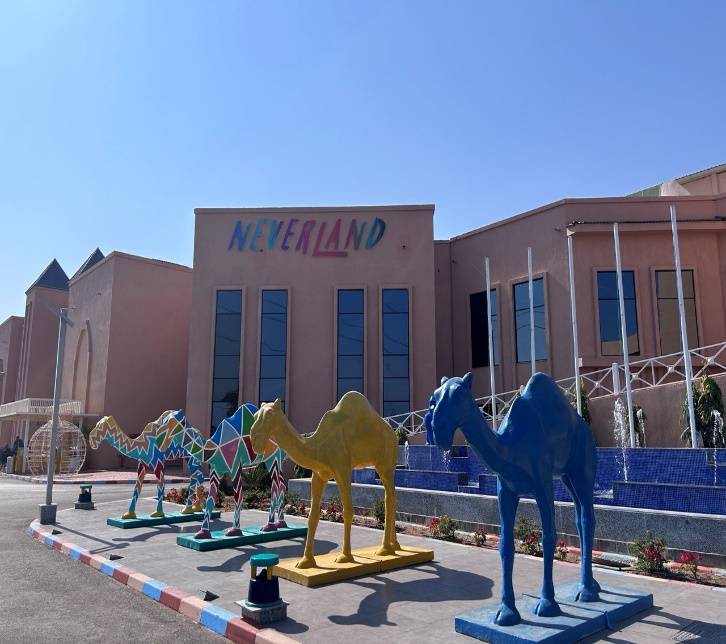 NEVERLAND PICKALBATROS