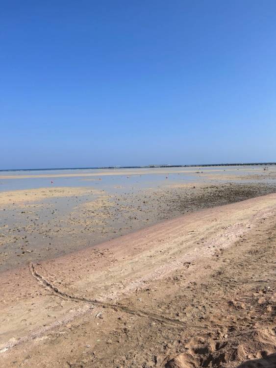 JAZ AQUAMARINE HOTEL 5*