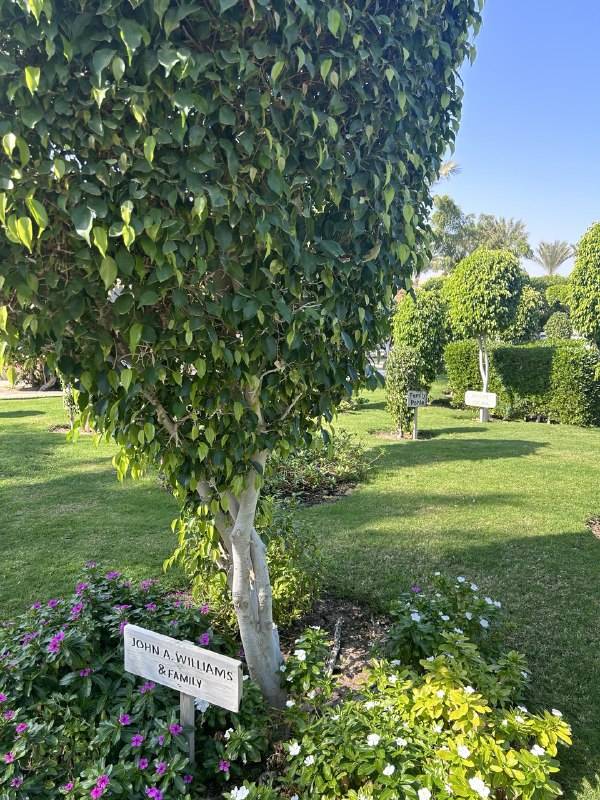 JAZ AQUAMARINE HOTEL 5*