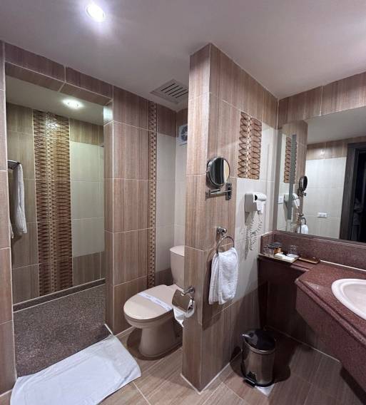 ALBATROS PALACE HOTEL 5*