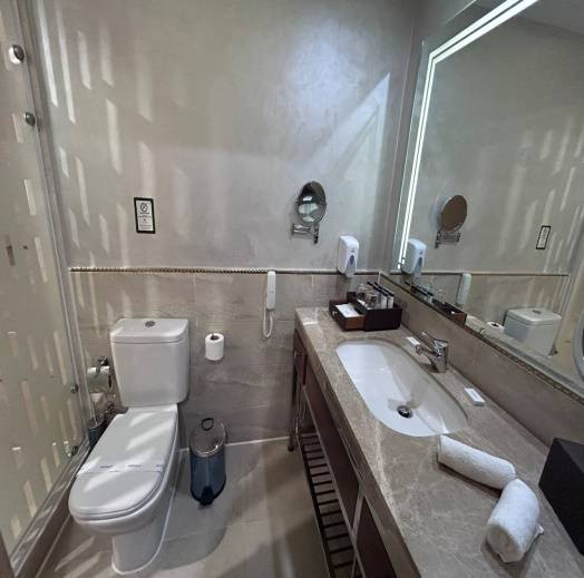 BEACH ALBATROS HOTEL 4*