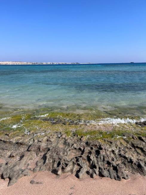 BARON SAHL HASHEESH 5*