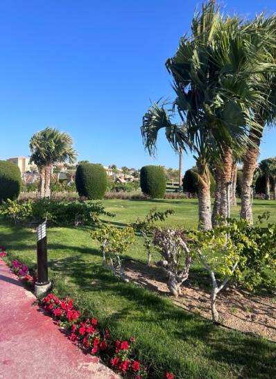 CLEOPATRA LUXURY MAKADI 5*