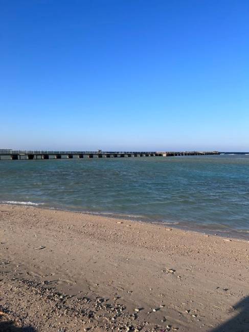 ALBATROS MAKADI BAY 5*