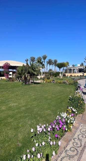 MOVENPICK SOMA BAY 5*